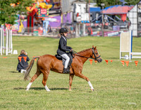 _LMW4196
