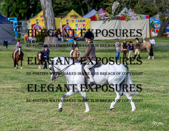 _LMW4258