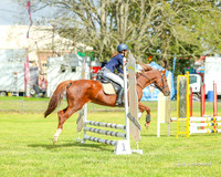 MVS - Showjumping - 55cm - 14.03.2026