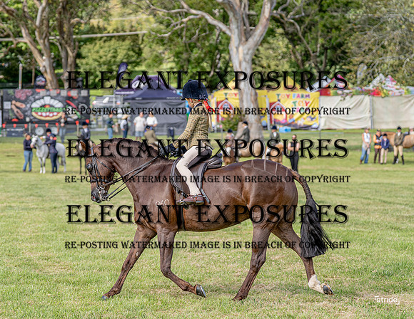 _LMW4301