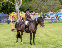 MVS - Show Horses - Saturday - 14.03.2026
