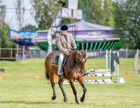 _LMW4353