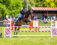 MVS - Showjumping - 85-95cm - 14.03.2026