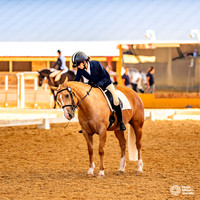 CPEC - Dressage - Riding School Arena - 20.03.2026