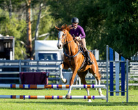 MSJ - Saturday - 50-60cm - 28.3.2026