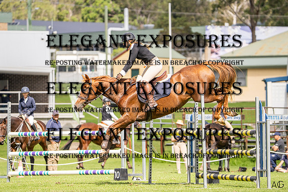 _AJG0273
