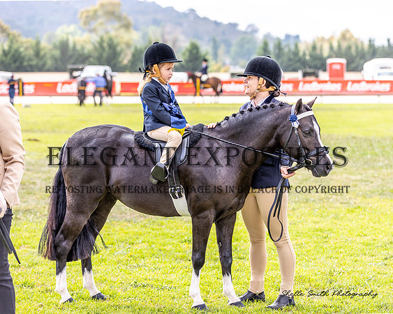 MAS_9786
