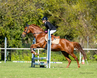 MSJ - Sunday - 50-60cm - 29.3.2026