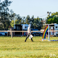 HM_5334
