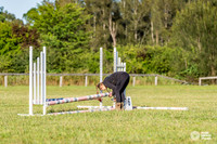 HM_5619