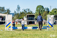 HM_5636