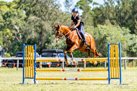 CM_2684