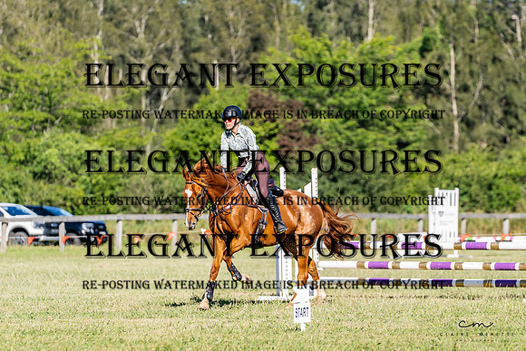 CM_0446