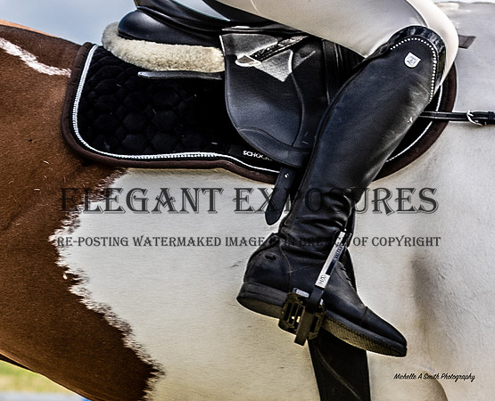 MAS_5253