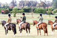Bowral show - Sat - Hacking - Ring 4