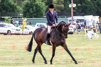 Bowral show - Sat - Hacking - Ring 3