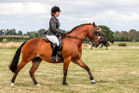 Bowral show - Sat - Ring 4 8:30am - 10:30am 14.1.2023