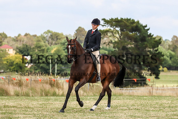 LHL-6522