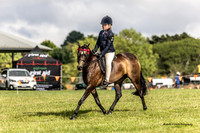 Bowral show - Sat - Ring 5 8:30am - 10:30am 14.1.2023