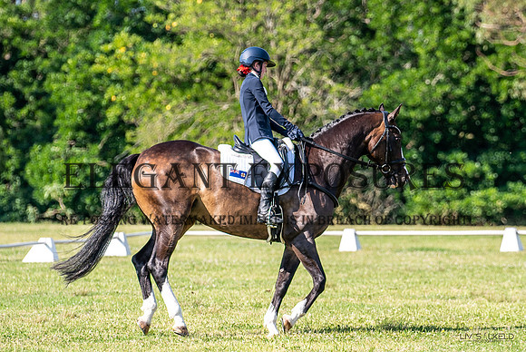 OLS_1199