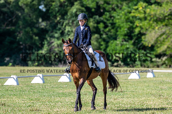 OLS_1301