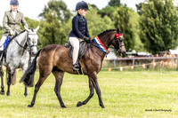 Bowral show - Sat - Hacking - Ring 5