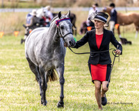 Bowral show - Sun - Hack Ring 1 - 15.1.2023