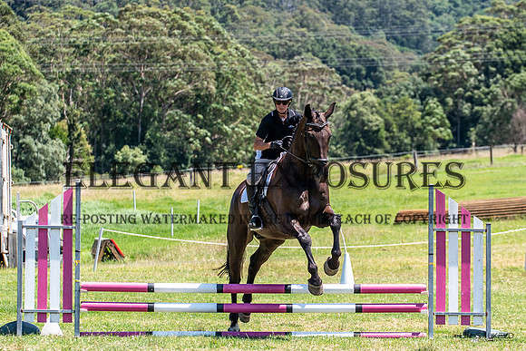 OLS_3009