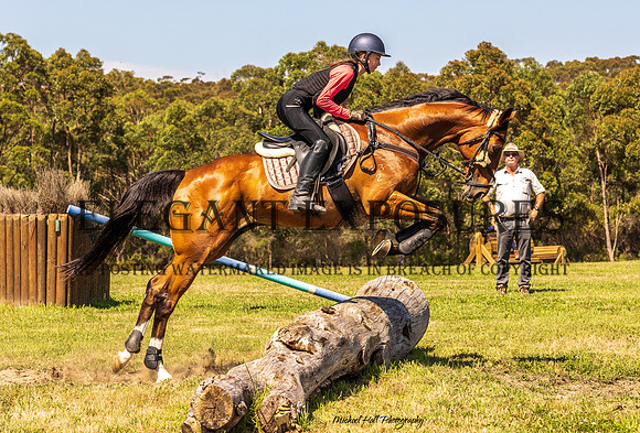 MHP_0553