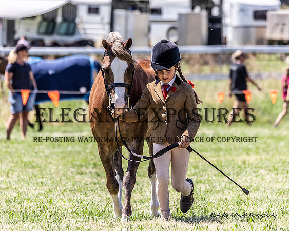 MAS_6047