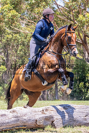 MHP_1237