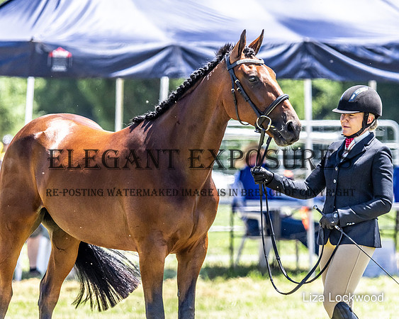 LHL-2897