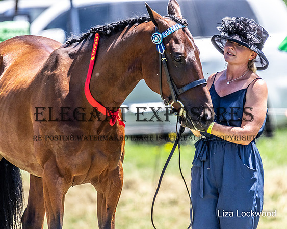 LHL-2900