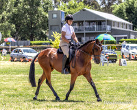 Bowral show - Sun - Ring 4 10:30 - 12:30pm 15.1.2023