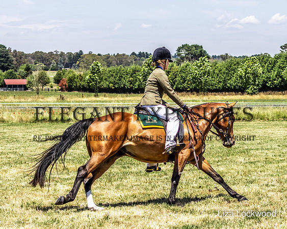 LHL-3215