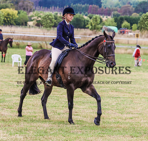 KMS-1828