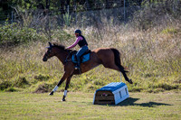 OLS_4823