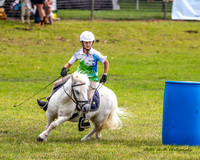 MVS - Show Horses - Sporting - 22.03.2025