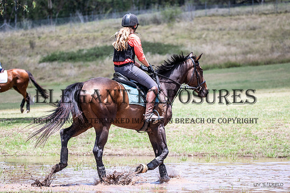 OLS_6396