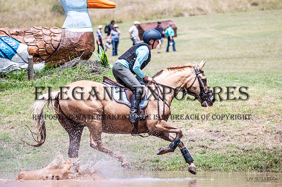 OLS_6431