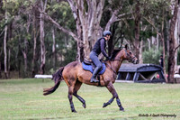 MAS_7049