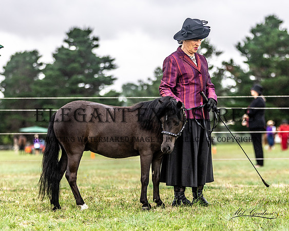 MKG_6309