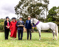 APSB Show - Goulburn 22.01.2023