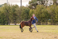 _AJG6580