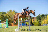_AJG2176