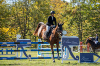 _AJG2195