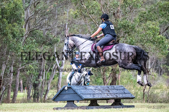 OLS_9077