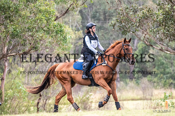 OLS_9145