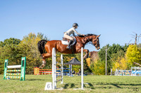 _AJG2585
