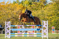 _AJG2978
